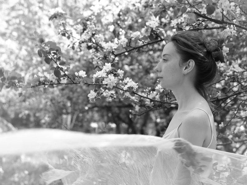 Весенний ветер фото превью