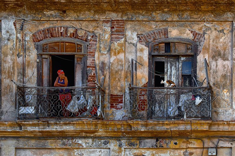 Контакт фото превью