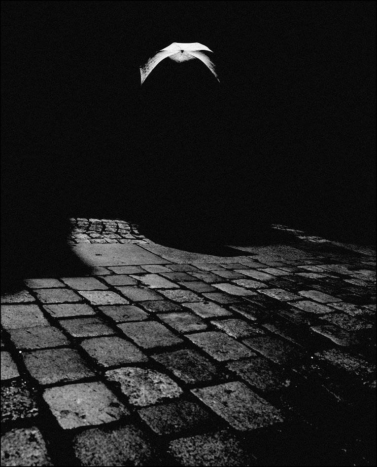 , Krzysztof Trojanowski