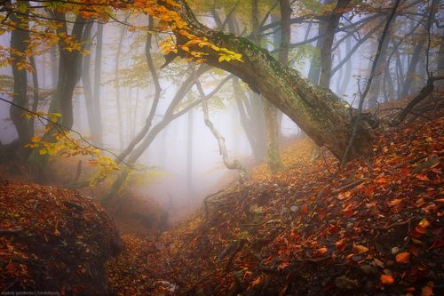 Легенды осеннего Крыма