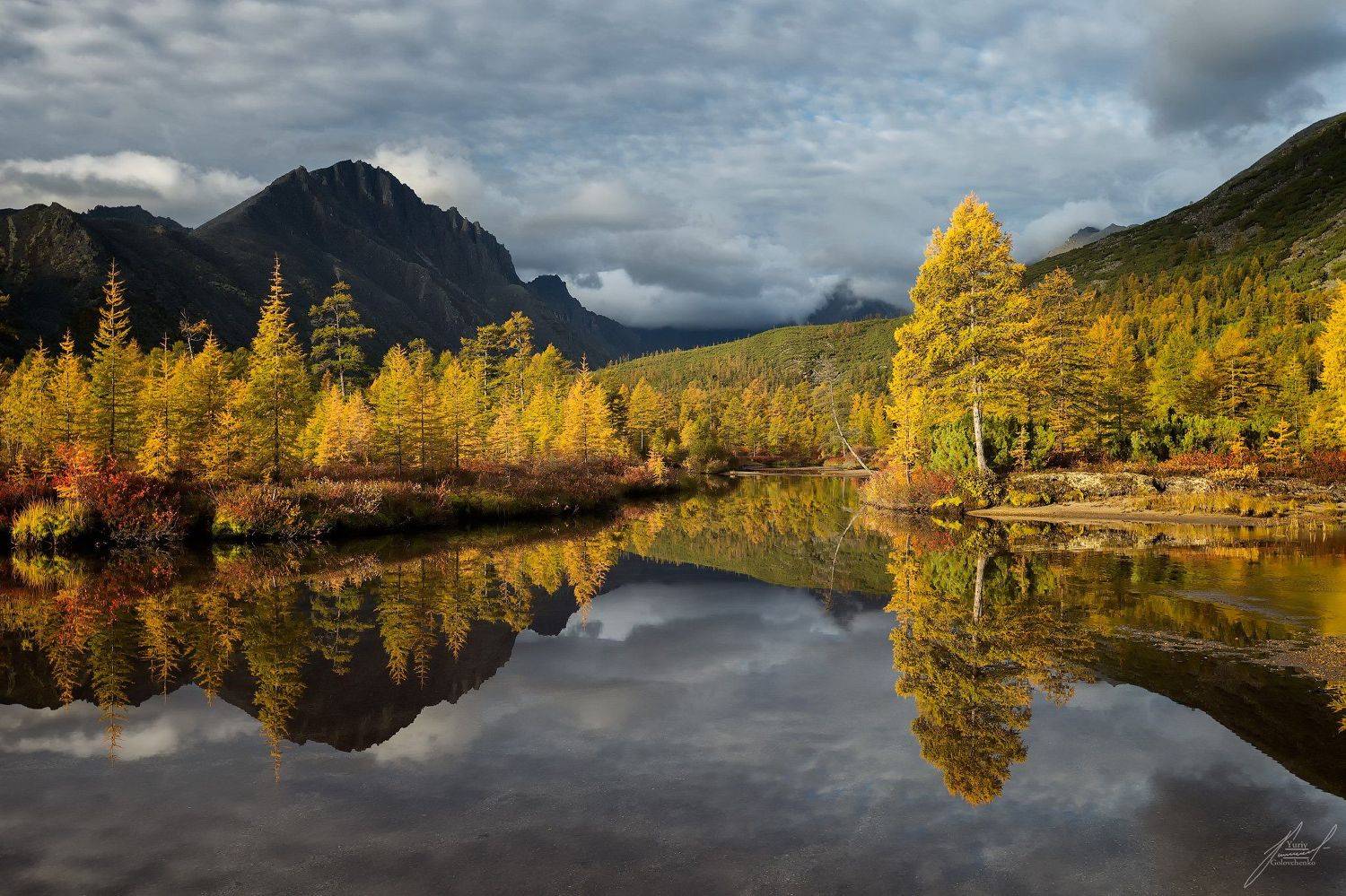 , Юрий Головченко