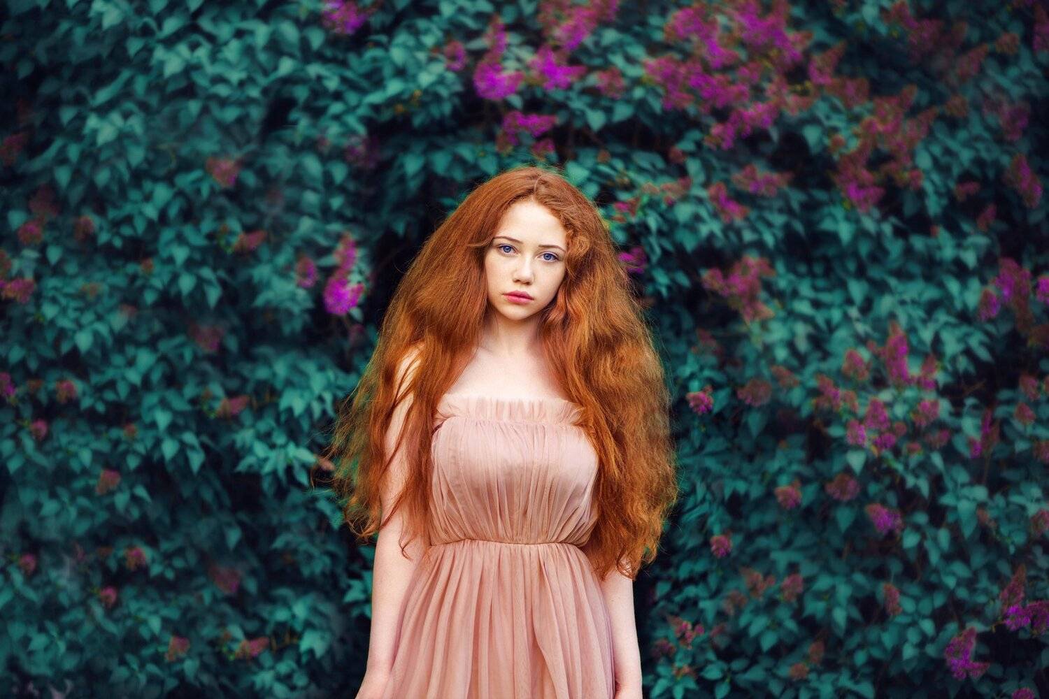 , Анастасия Добровольская