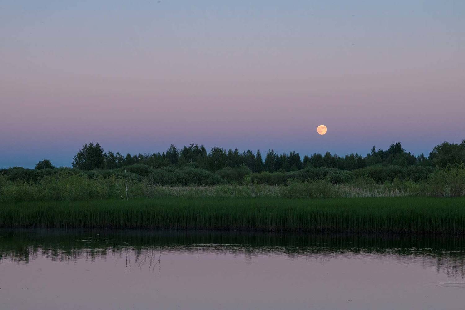 , Александр