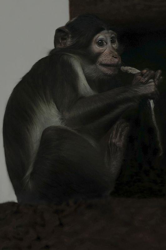 before the storm фото превью