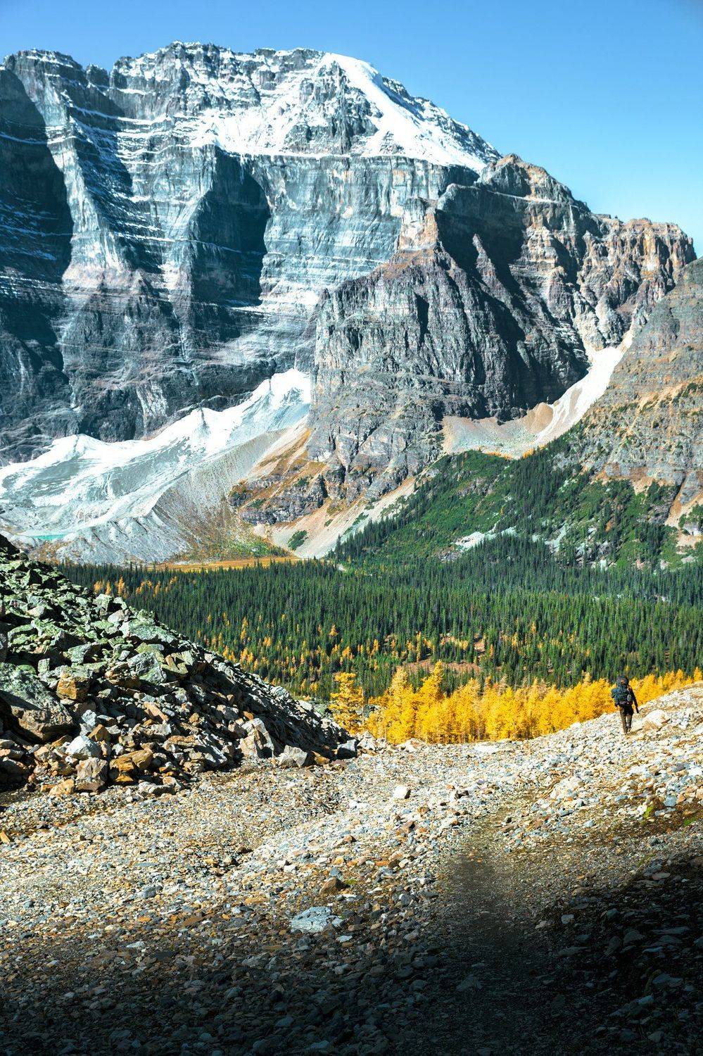 канада, банф, национальный парк, горы, альпинизм, приключения, путешествия, люди и пейзаж, лиственница. лес, отдаленная, райская долина, гора митра, пик, альпийский,canada, banff, national park, mountain, backpacking, adventure, travel, people and landsca, Марко Радовановић