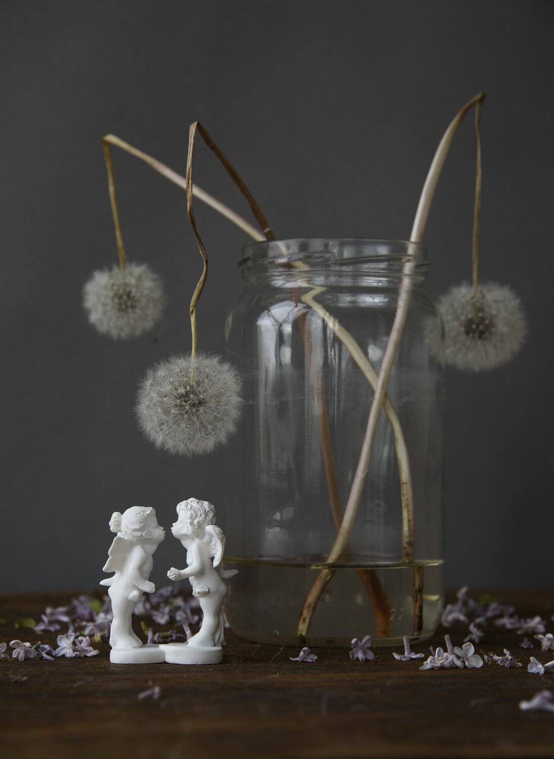 ангелы, одуванчики, Svetlana Khromova