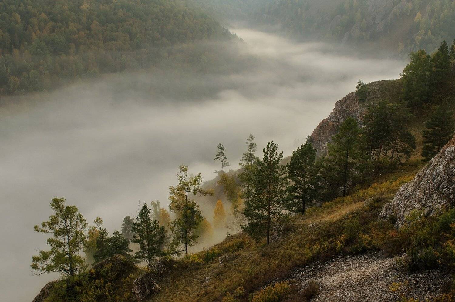 торгашинский хребет. склон. туман., Марина Фомина