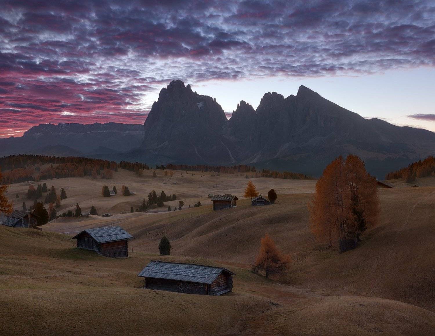 italy, alpe di siusi, seiser alm, sunrise, south tyrol, dolomites, s&uuml;dtirol, trentino-alto adige, Alex Yurko
