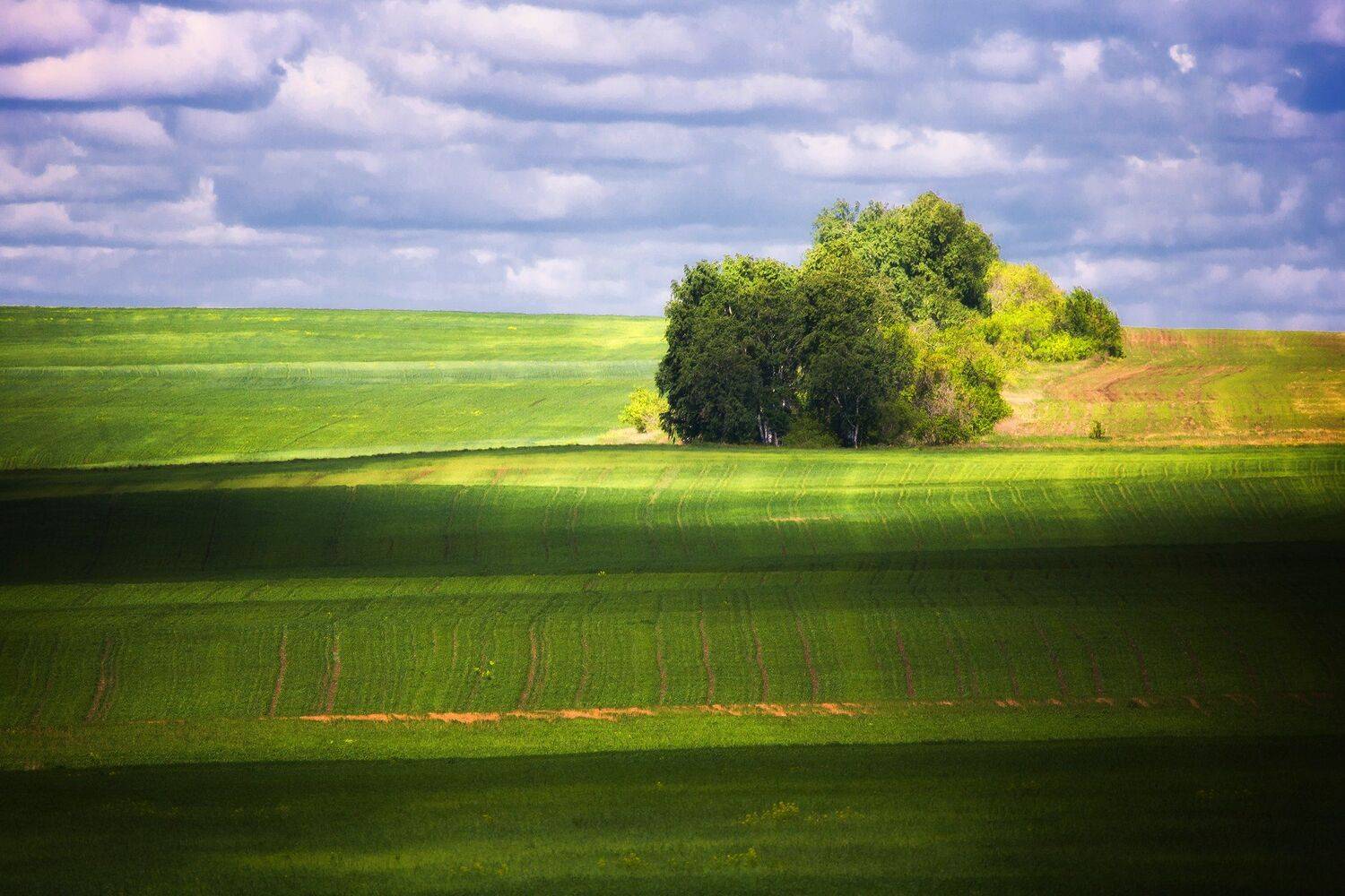 , Павел Сагайдак