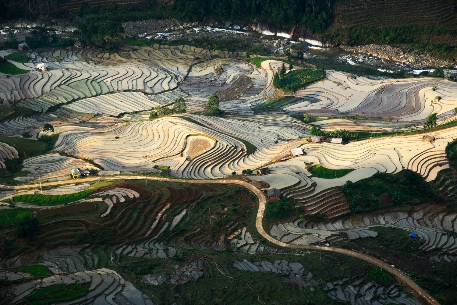 , Trần Ko&oacute;ng