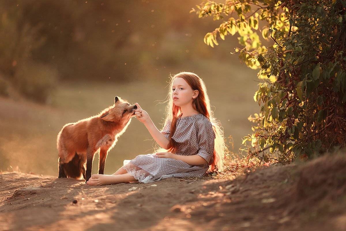 зеркальный фотоаппарат canon markiii, прогулка, фотосессия, детский и семейный фотограф, лето, вечер, закат, закатное солнышко, дети, детки, красота, рыжики, девочка, рыжая девочка, лиса, любовь, счастье, закат, дерево, радость, восторг, Францева Ольга