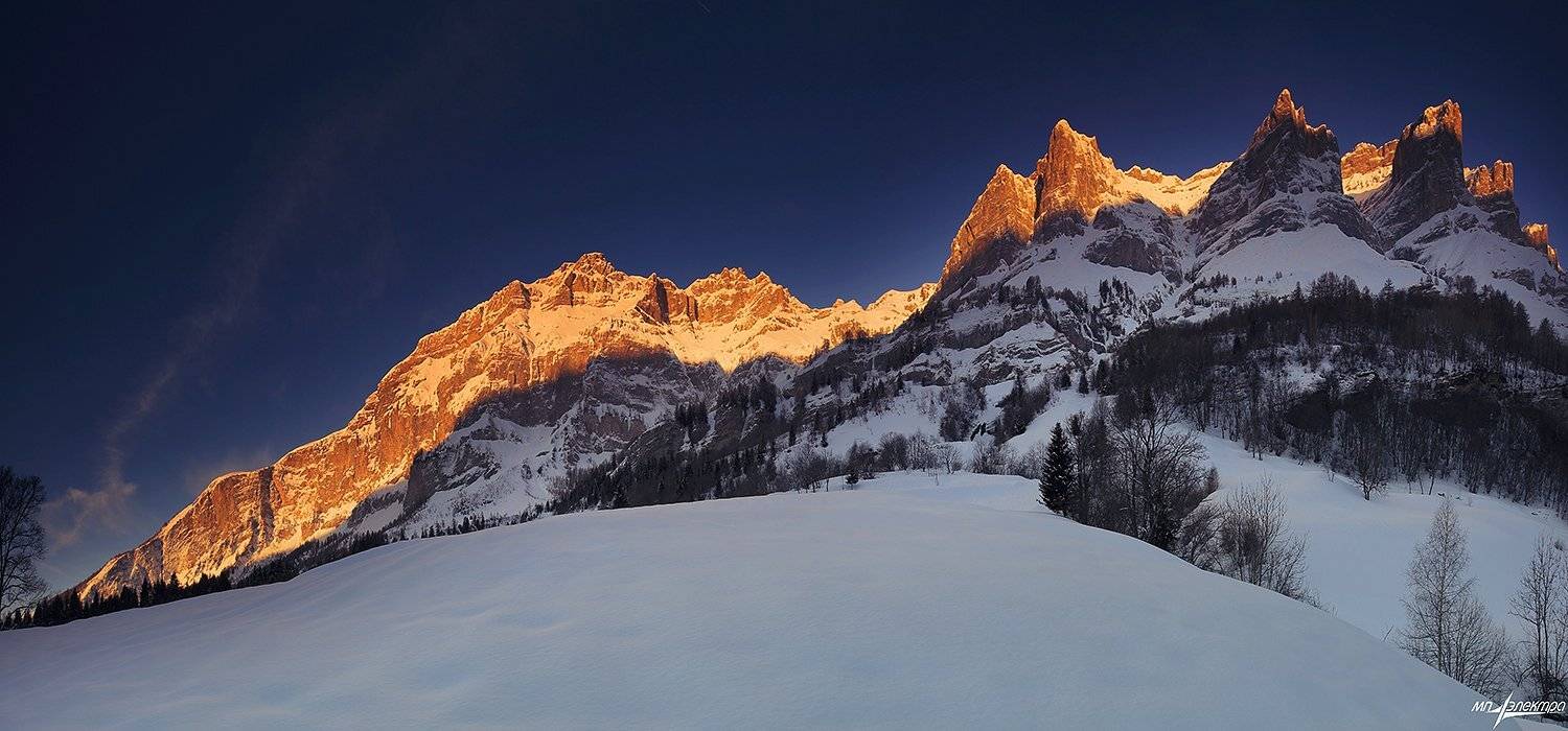 swiss, Матвеев Николай