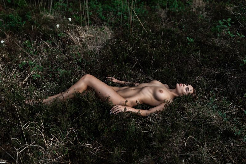 nude, nature, wild, green, body, calm, free, relax, people, soul, woman, female, portrait, style Free Soul фото превью