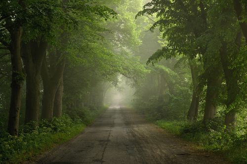 Misty Road 02