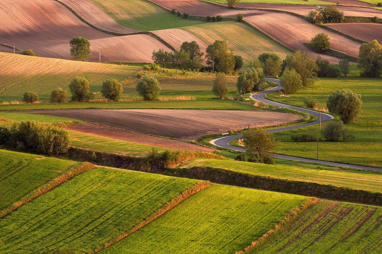 country, village, ground, meadow, road, agriculture, tree, sunset, Jacek Lisiewicz