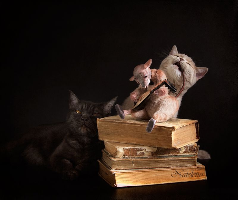 Кошки-Мышки фото превью