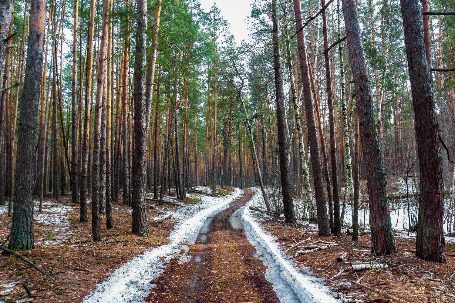 , Руслан Востриков