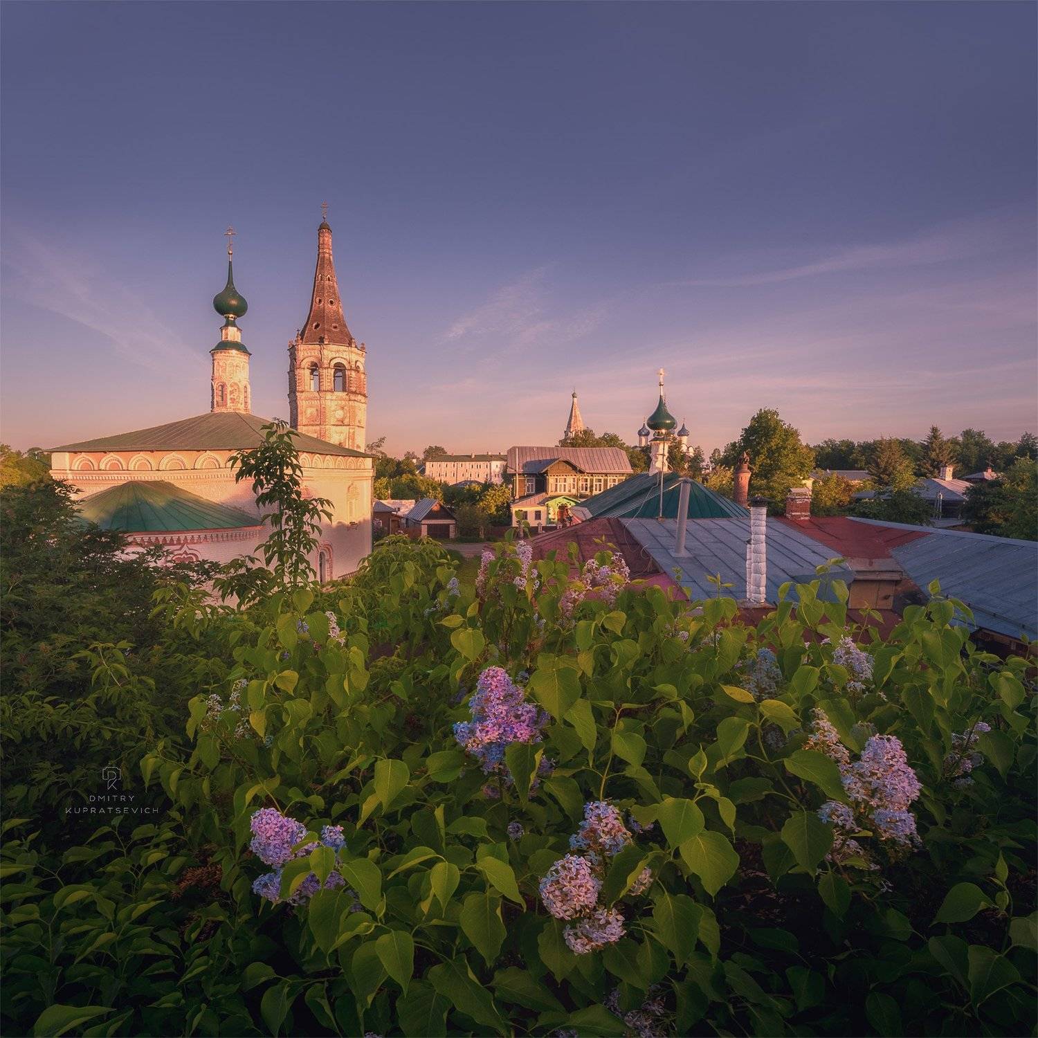 , Дмитрий Купрацевич