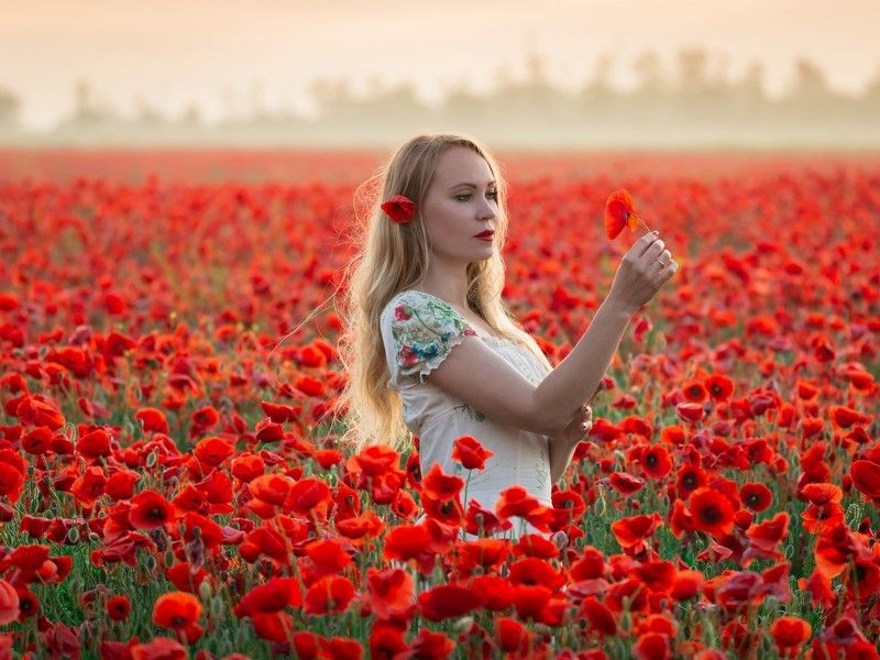 доброе утро фото превью