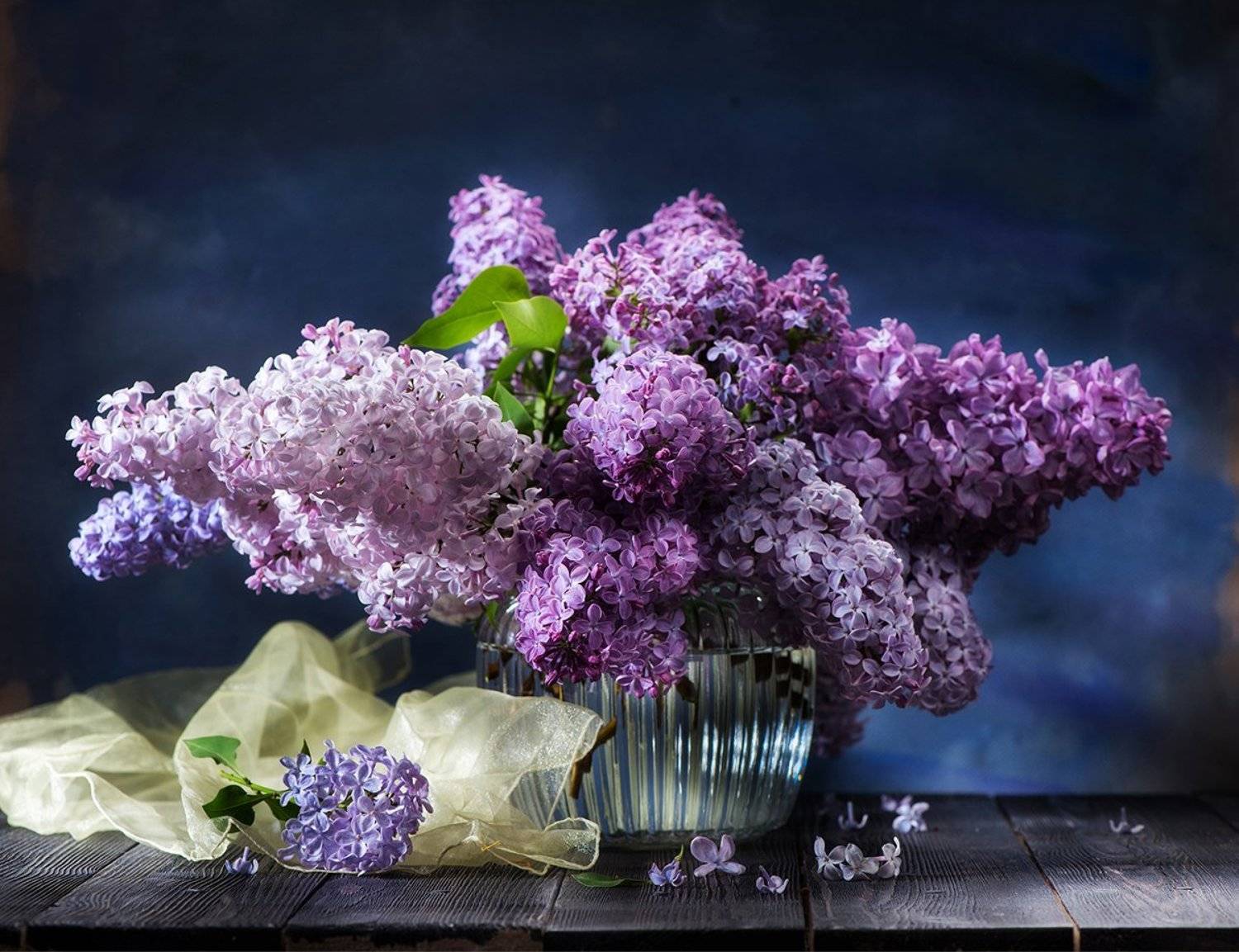 , Марина Аверьянова