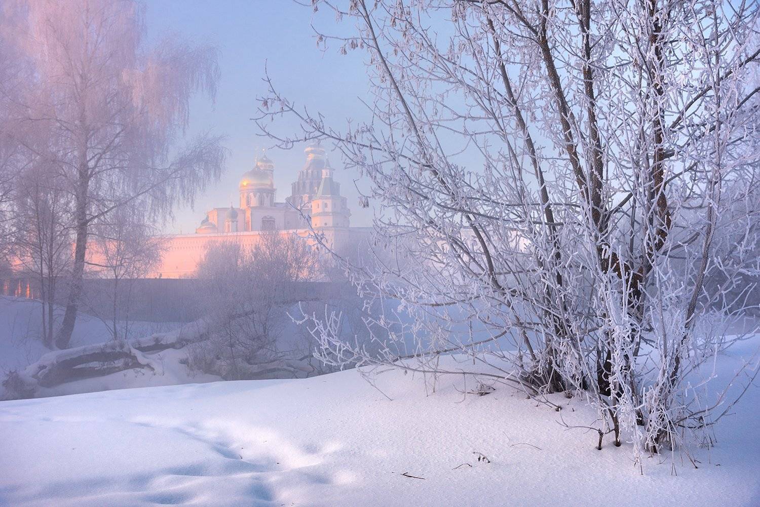 , Дмитрий Асеев