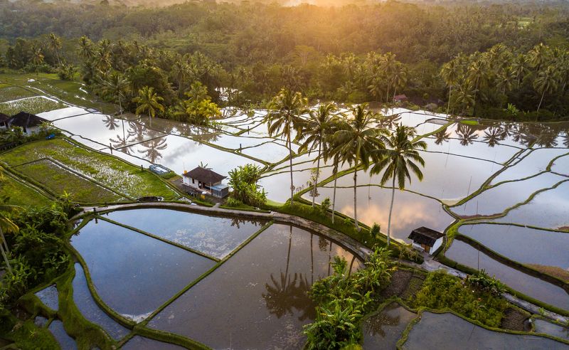 Домик в деревне фото превью