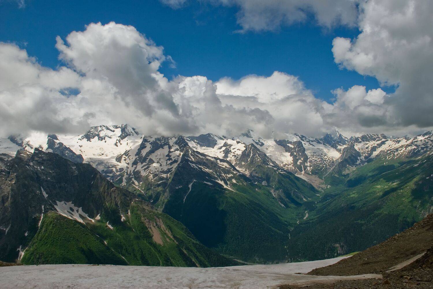 , Владимир Гамаюнов