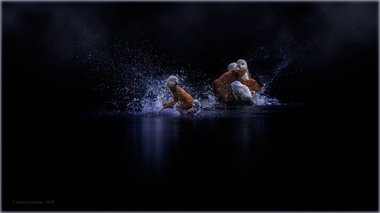 , Валерий Субачев