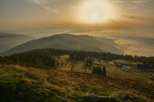 Развернуть крылья и шагнуть вперед...!