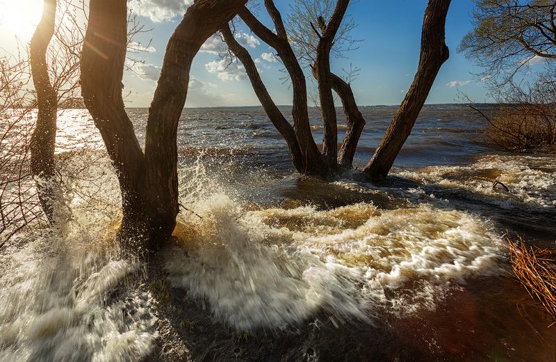 море, озеро, вода, дерево, брызги, волны, полдень, синее небо, прибой когда озеро выходит из берегов фото превью