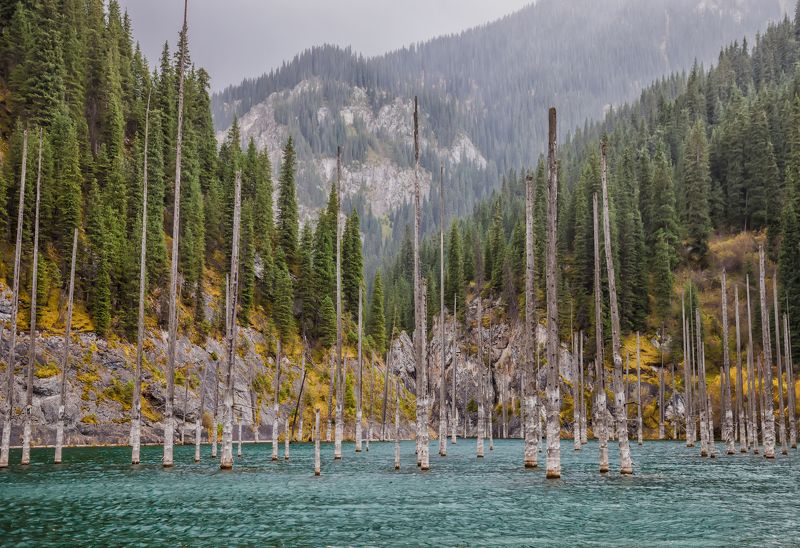 пейзаж,  природа, озеро, облака, лес, горы, непогода, дерево, фотограф, алматы, фотограф алматы, landscape, the sun, nature, tree, photographer, аlmaty, amazing, awesome, forest, the mountains, sunken forest Затонувший лес фото превью