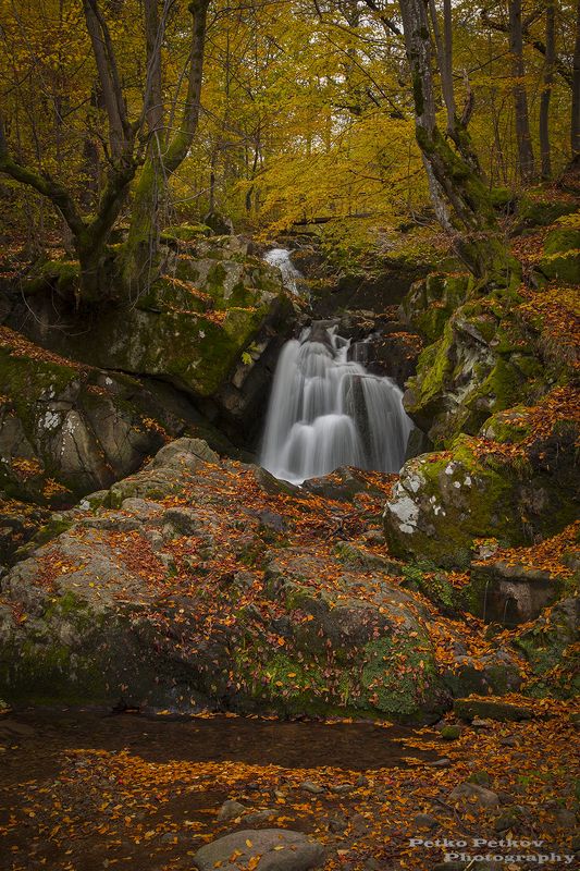 Златна есен фото превью