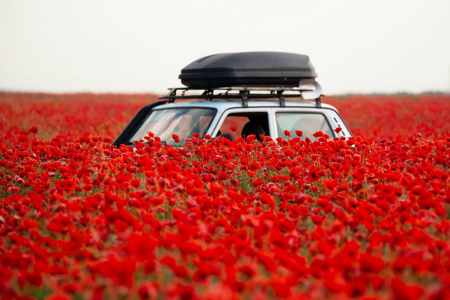 , Алексей Яковлев