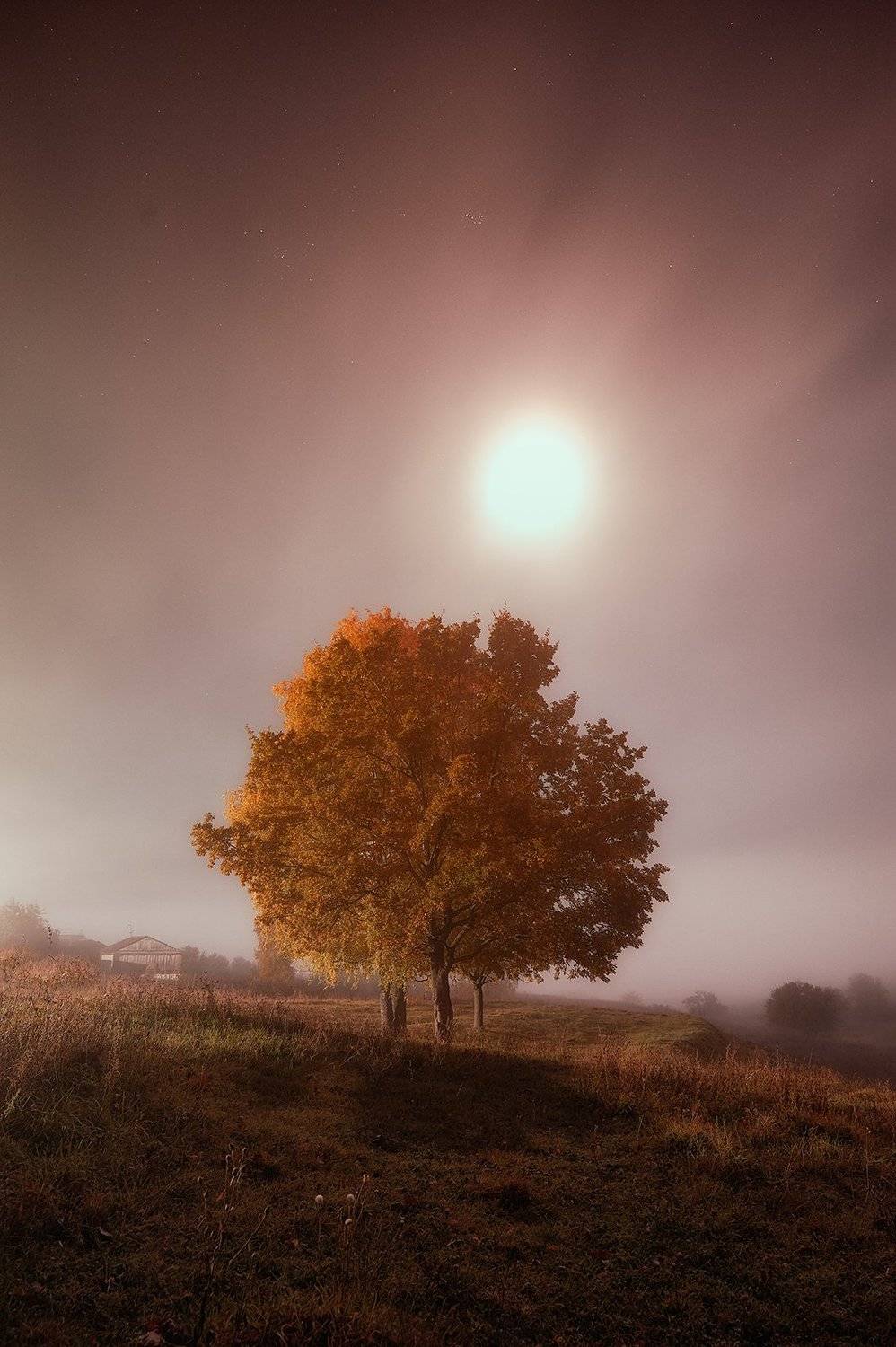 , Каревский Дмитрий