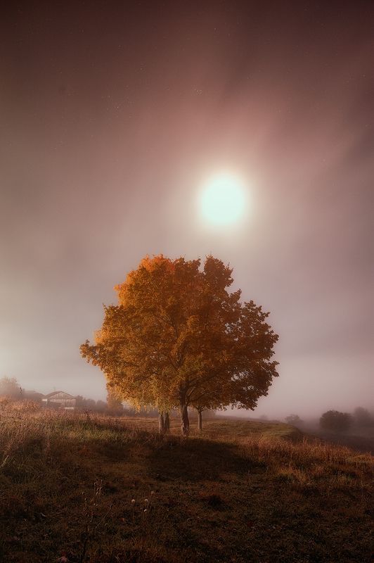 Полнолуние фото превью