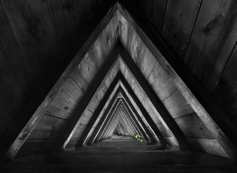 Anisotropy фото превью