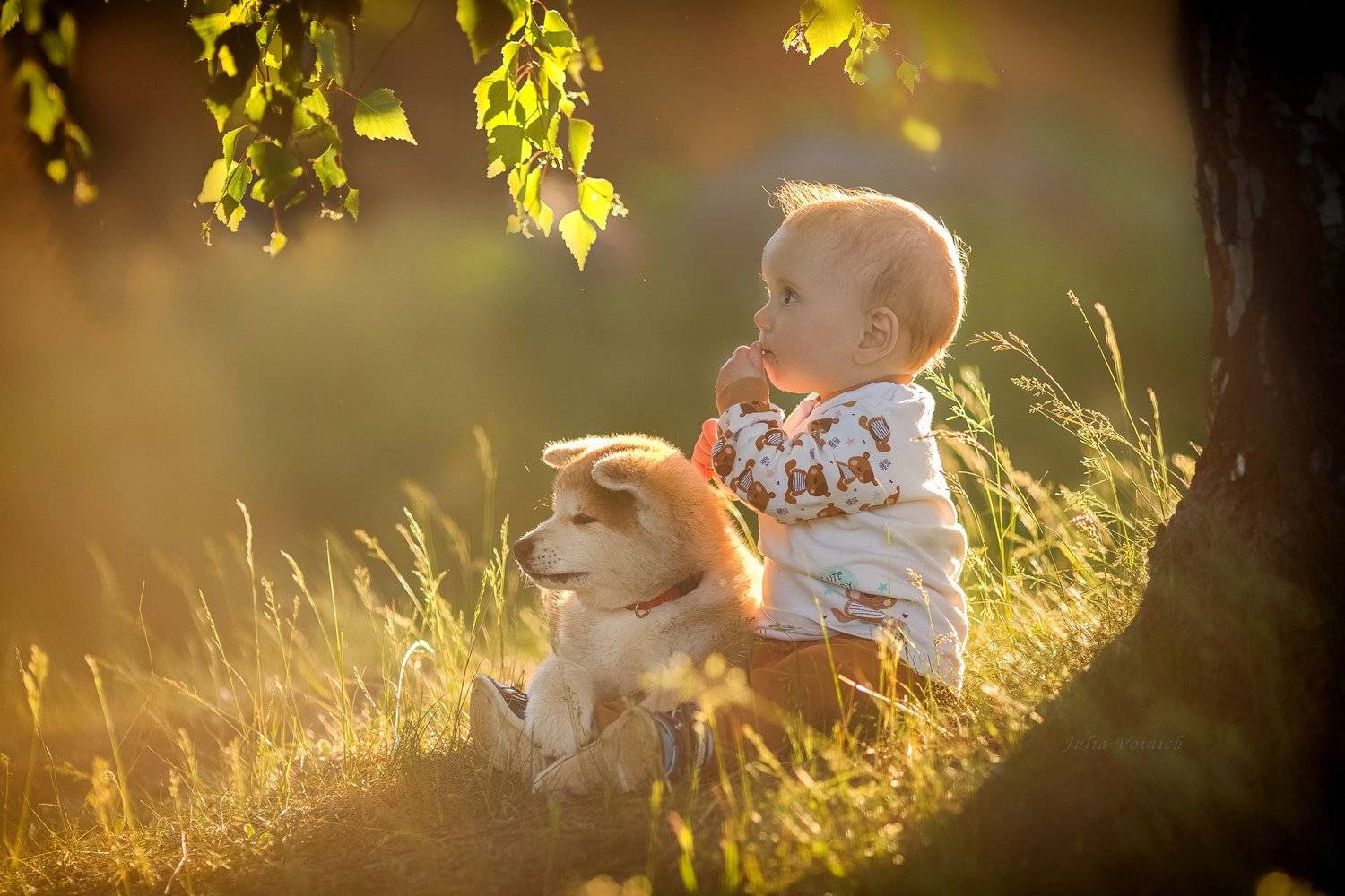 , Юлия Войнич