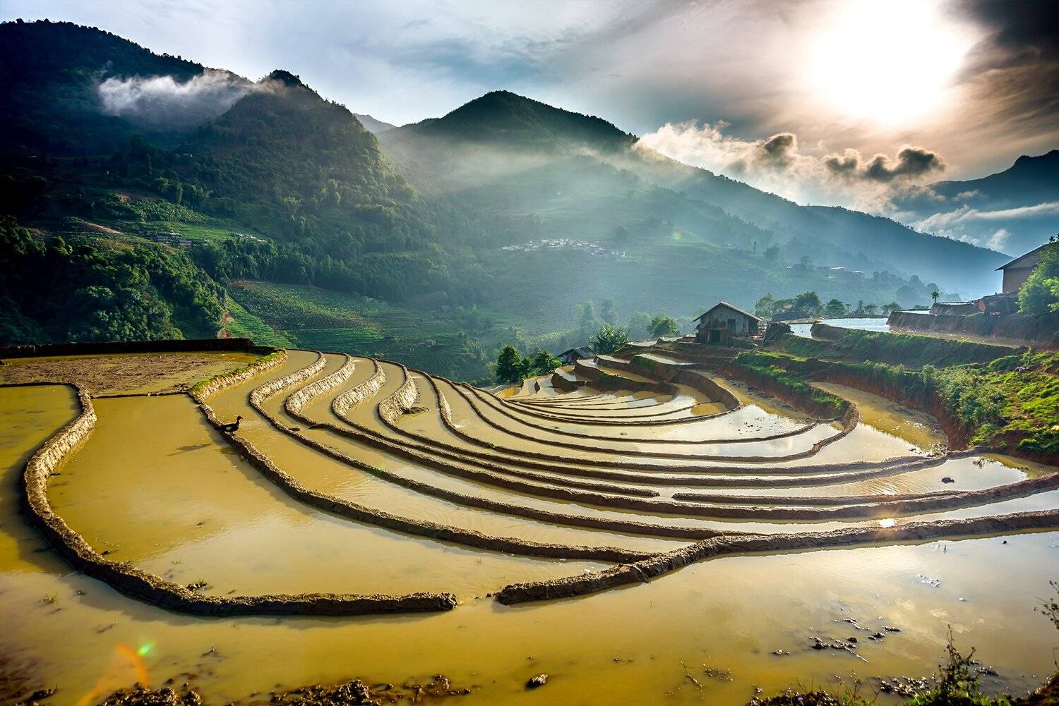 , Trần Ko&oacute;ng