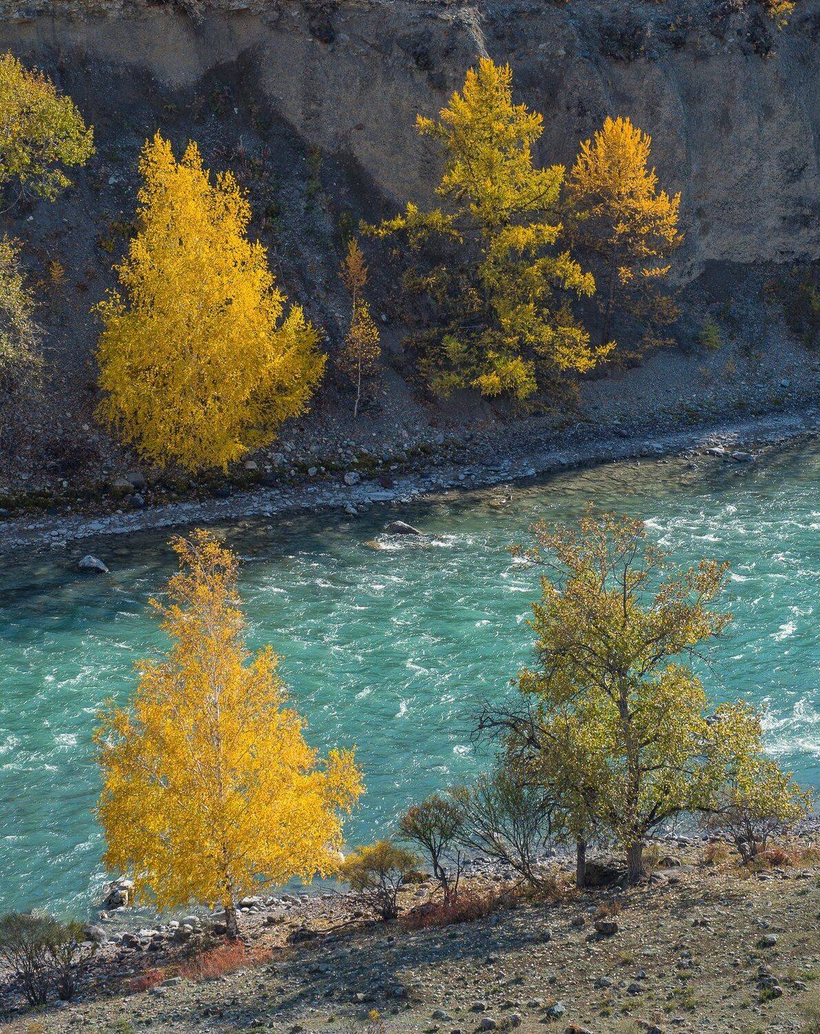 , Блинов Василий