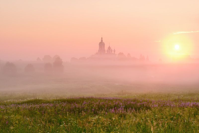 Пробуждение... фото превью
