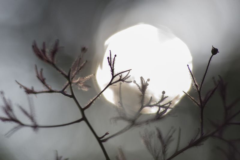 * фото превью