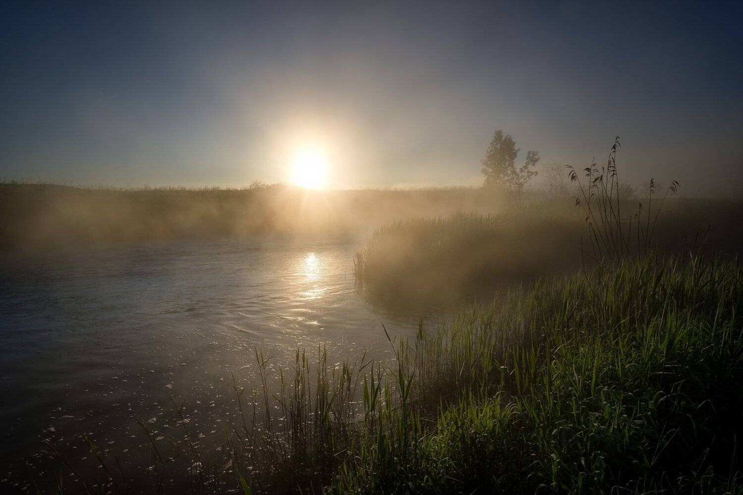 пейзаж, природа, дубна, река, туман, солнце, утро, рассвет, остров, Андрей Чиж