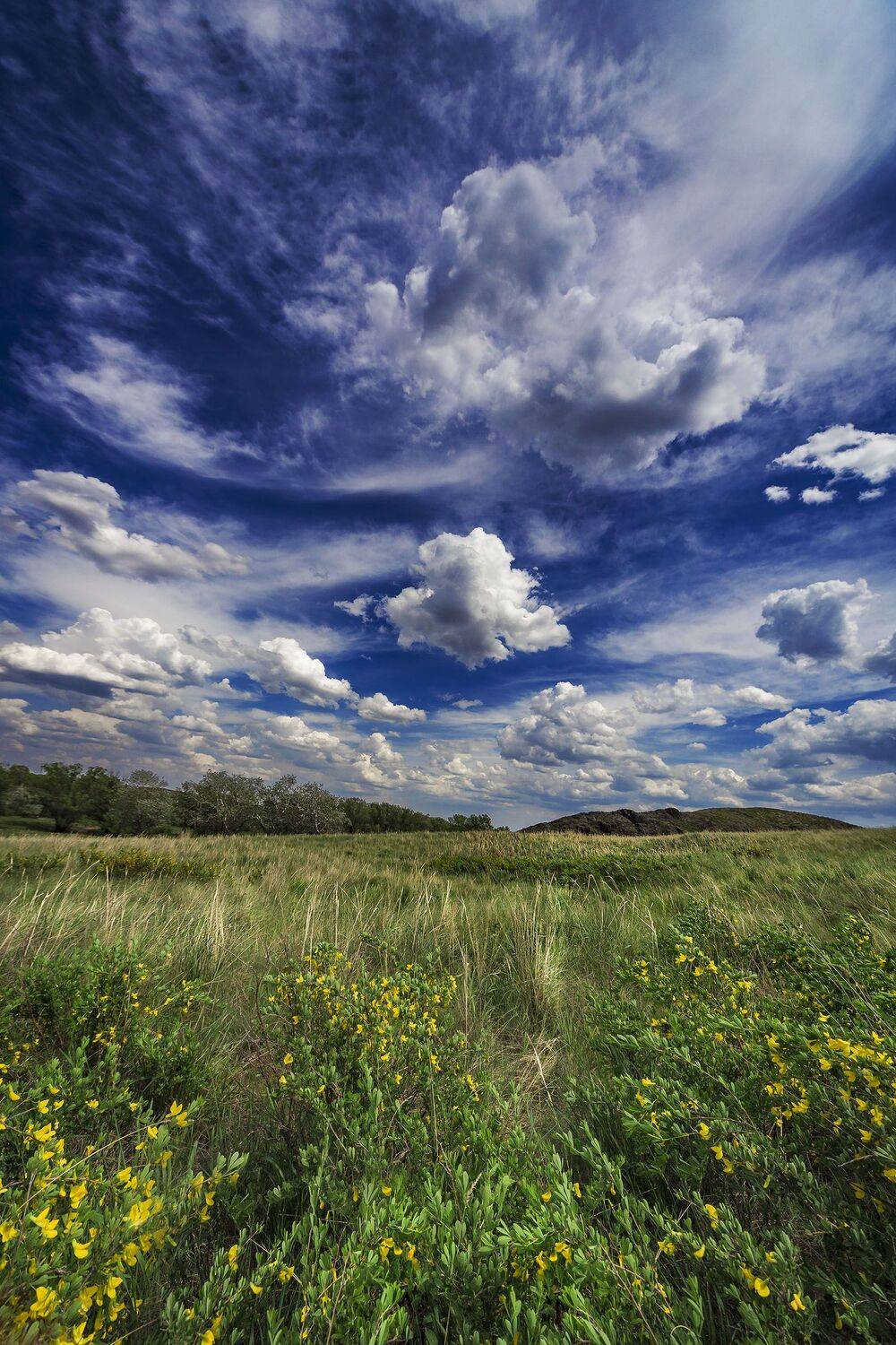 , Качурин Алексей