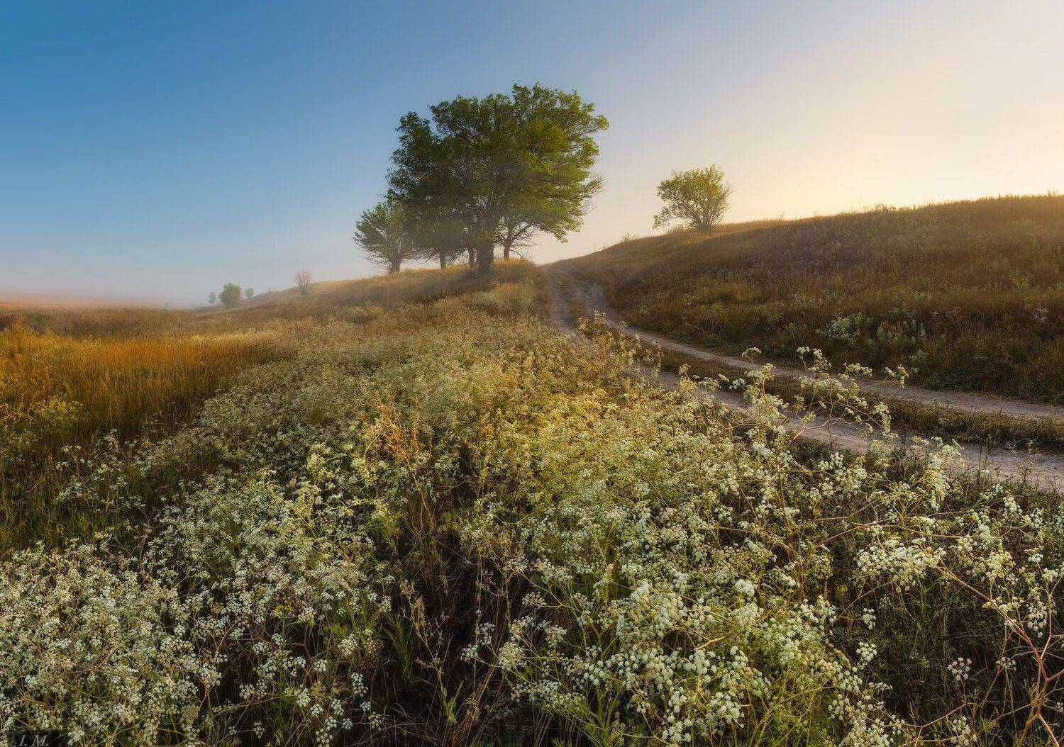 рассвет, туман, утро, дорога, грунтовая, деревья, травы, луг, дымка, foggy, morning, countryroad, trees, light, misty, sky, clear, grass, Ivan Maljarenko