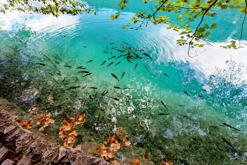 Плитвицкие озёра, Хорватия фото превью