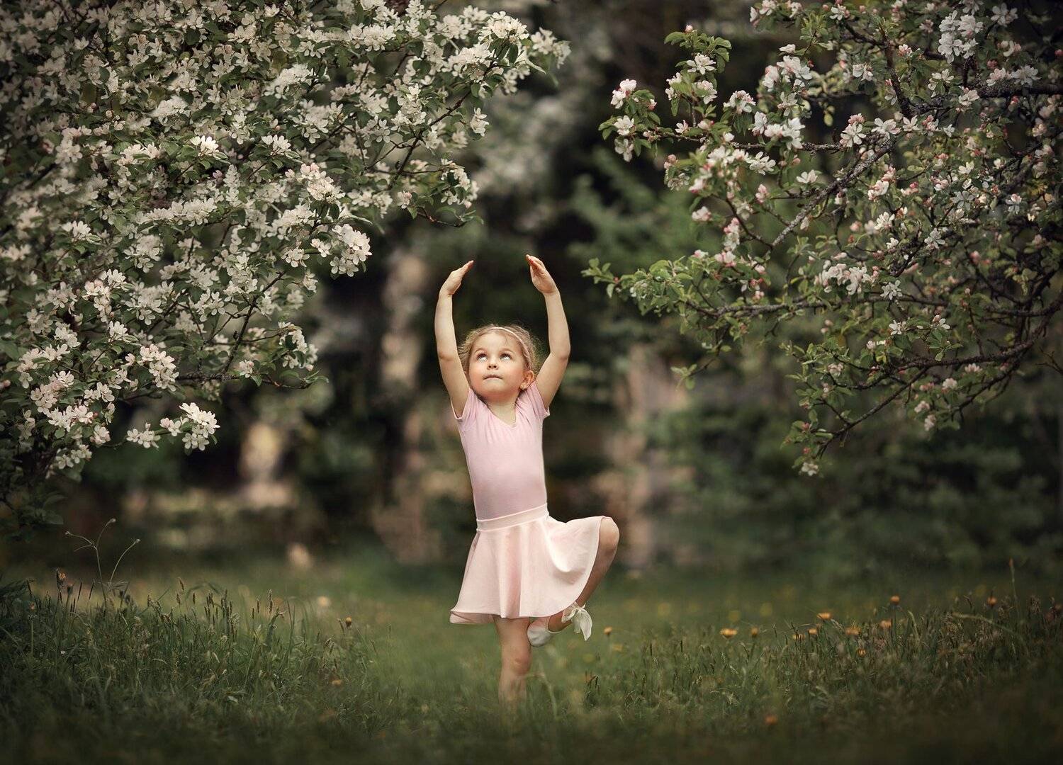 , Елена Силина