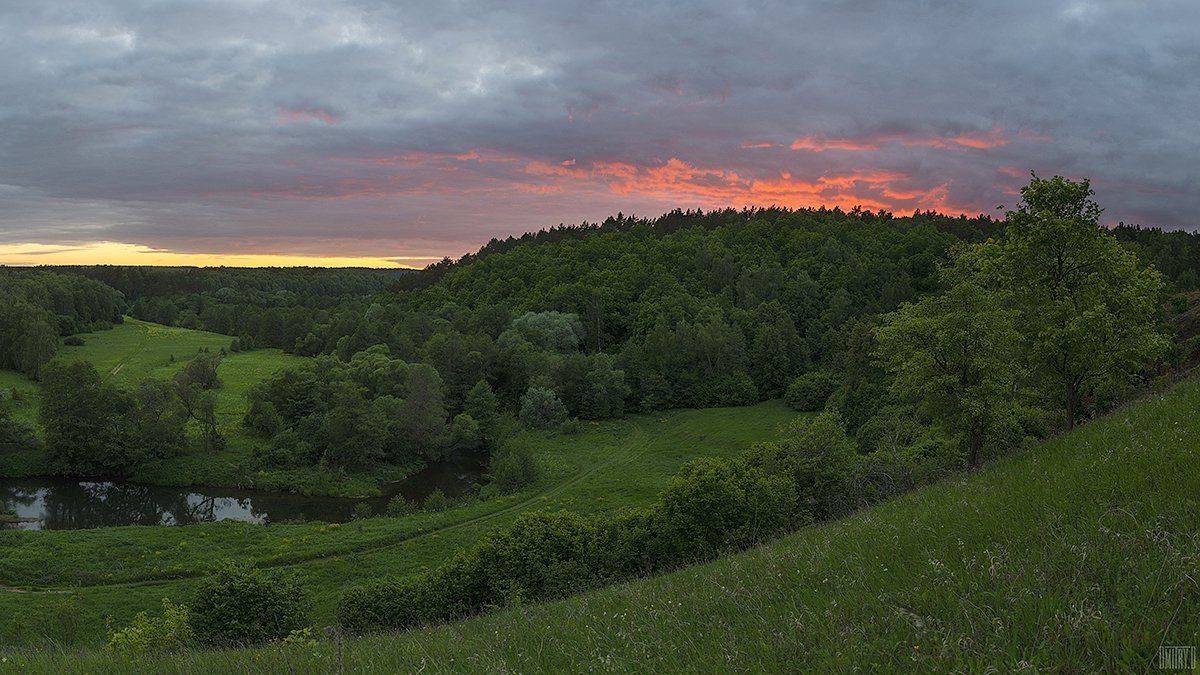 , Дмитрий Доронин