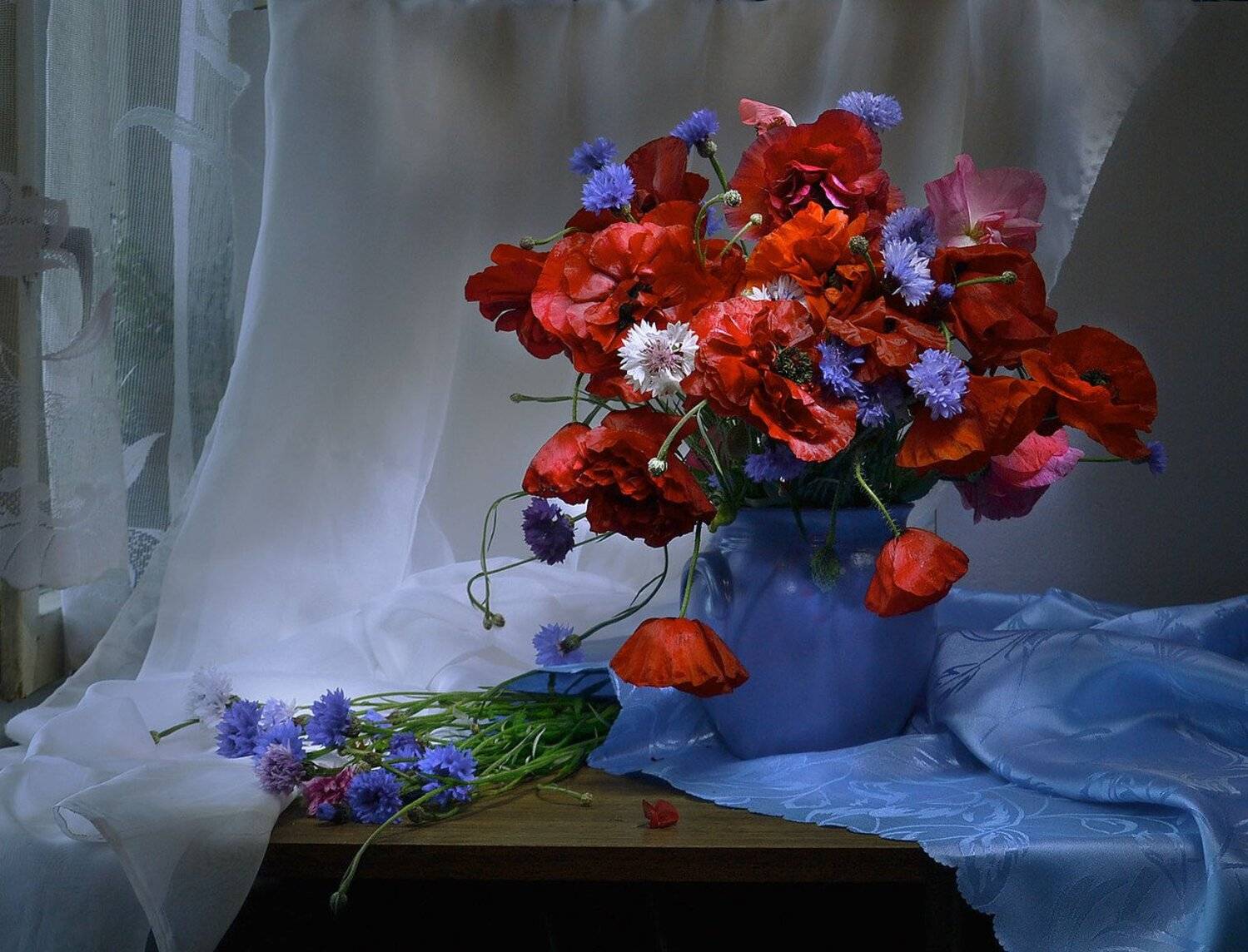still life,натюрморт,  август, васильки, лето, маки,фото натюрморт, цветы, за полночь, Колова Валентина