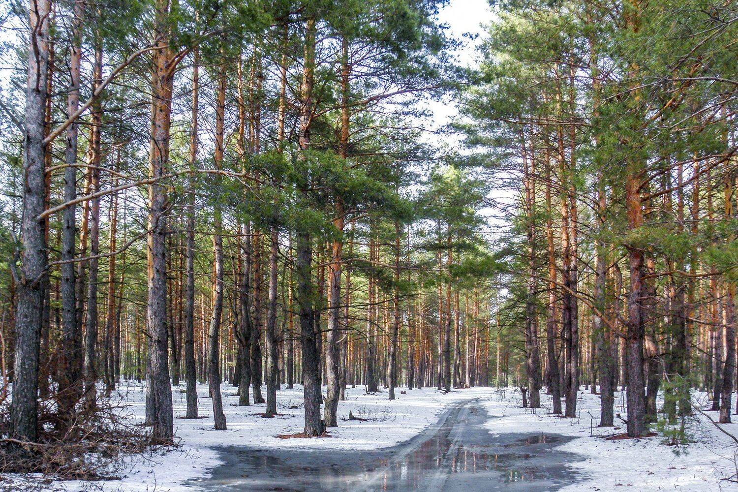 , Руслан Востриков