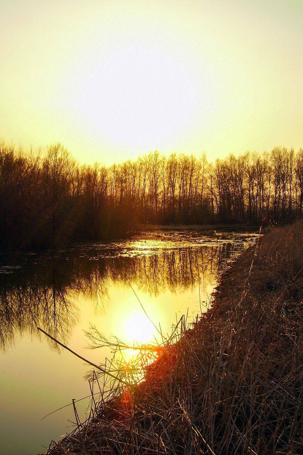 , Руслан Востриков